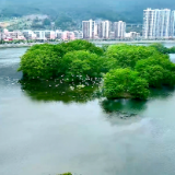 双牌：千只白鹭“打卡”日月湖 生态湿地成南迁候鸟“能量补给站”