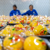 永州冷水滩：荒山变“金山” 黄金贡柚迎丰收