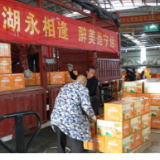 宁远柑橘搭上跨省协作快车 1.6万斤鲜果直供江苏淮安