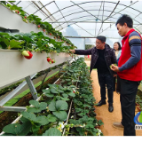 蓝山：高素质农民培训强本领 跟踪服务提质效