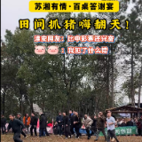 视频丨冷水滩：“苏湘有情·百桌答谢宴” 田间抓猪嗨翻天！