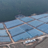 江华：寒潮不寒产 供港蔬菜不打烊