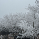 蓝山县：冬日限定雾凇奇观 扮靓数十公里林海