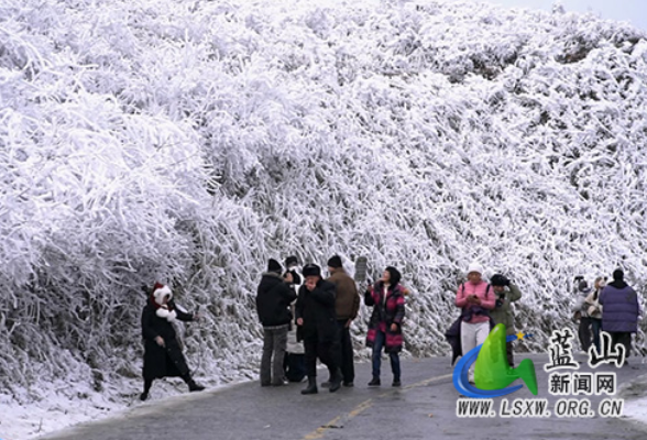 蓝山县云冰山：雾凇冰挂醉游人 岭南冬日景正浓
