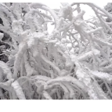 双牌阳明山景区开年首场雾凇惊艳上线