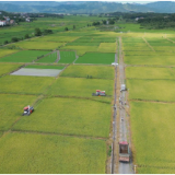 回首“十四五” 奋进新征程｜祁阳：筑牢粮仓根基 拓展产业富路