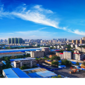 永州市对非合作新春餐叙会举行