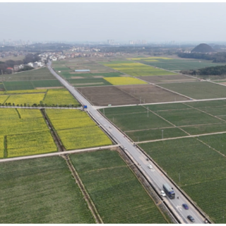 道县：蔬菜基地开足马力采收 保障春节“菜篮子”供应