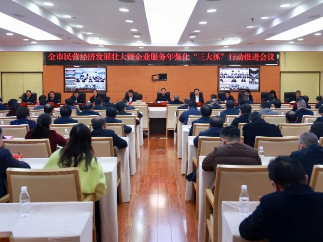 永州市民营经济发展壮大暨企业服务年强化“三大抓”行动推进会召开