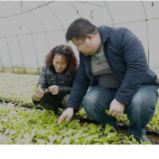 新田:人勤春来早 田间农事忙