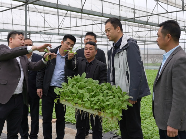 江永：于思洋带队开展农业农村专题调研 把脉春耕备耕促发展