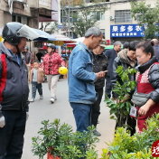 江华：人勤春早忙 植绿增收气象新