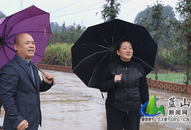 蓝山：奋力开创全县乡村振兴工作新局面