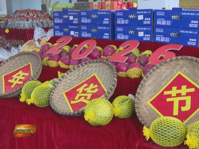 新春走基层丨红火年货节 温暖祁阳年