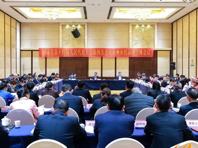 永州市代表团举行全体会议 审议省人大常委会工作报告
