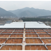 宁远规范化养殖推动现代农业高质量发展