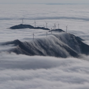 美丽蓝山:晨曦初照云海涌