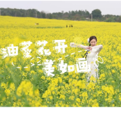 视频丨冷水滩：油菜花开美如画