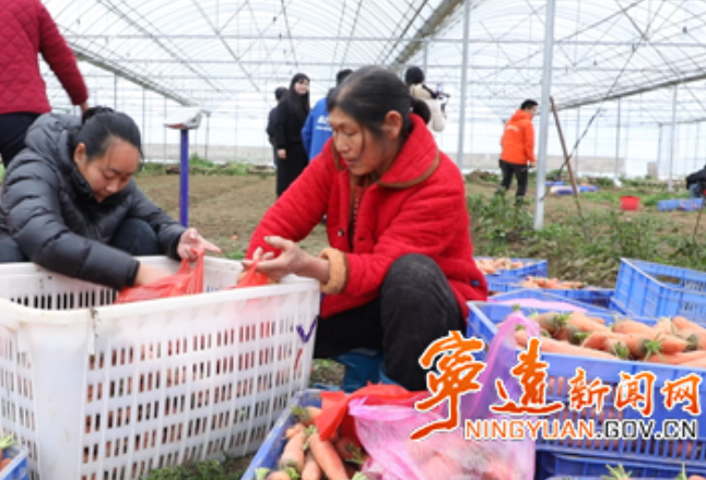 宁远：直播带货+爱心慰问 公益助农暖乡村