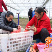 宁远：直播带货+爱心慰问 公益助农暖乡村