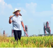 从“永冲锋”到“沃野梦”！江苏“90后”在零陵签下1400亩种粮大单