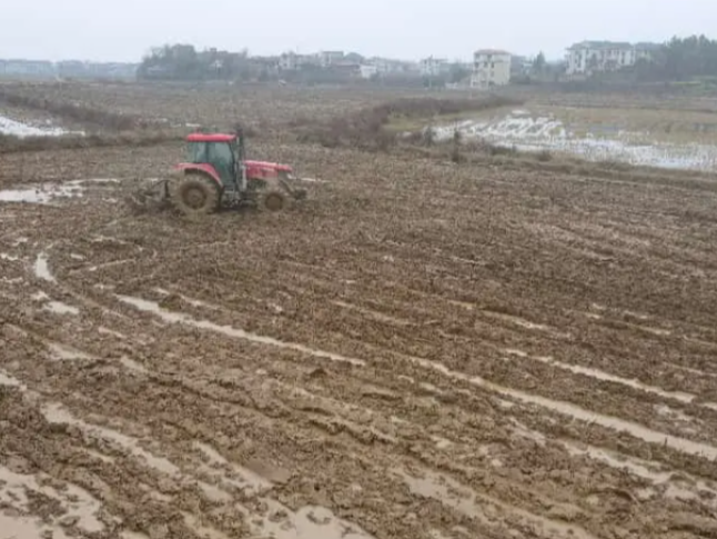 东安：蒋华到芦洪市镇调研春耕备耕工作