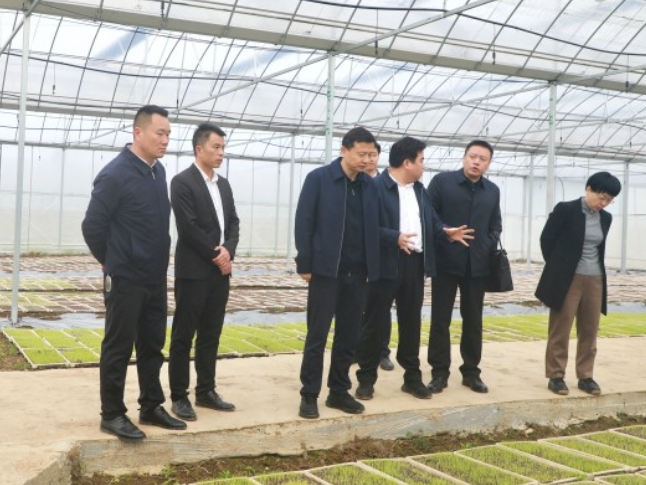 东安：唐何调研粮食生产工作