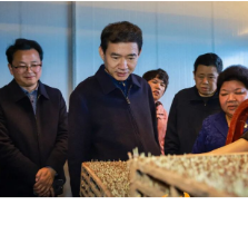 朱洪武调研春耕生产工作：不误农时全力抓好春耕生产 奋力推动农业增效农民增收