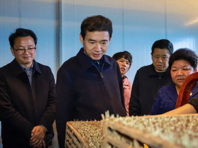 朱洪武调研春耕生产工作：不误农时全力抓好春耕生产 奋力推动农业增效农民增收