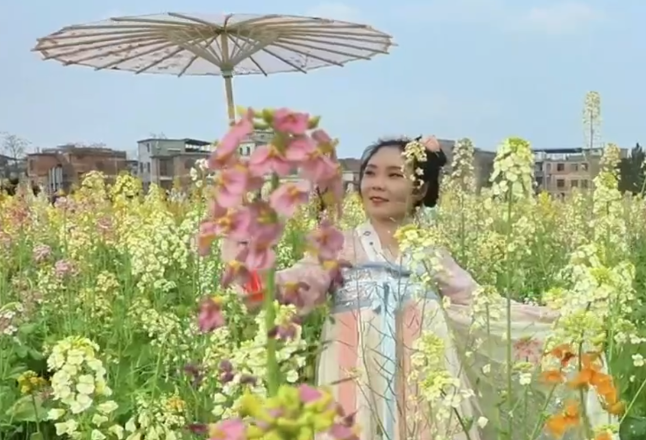 视频丨蓝山县：300余亩七彩油菜花进入最佳观赏期