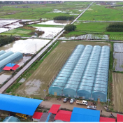 双牌:抢抓农时育早稻 科技赋能备春耕