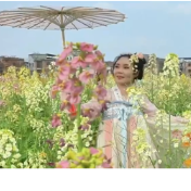 视频丨蓝山县：300余亩七彩油菜花进入最佳观赏期