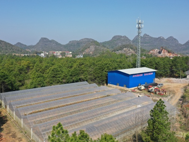 湖南新田：早稻集中育秧全面铺开 科技助力春耕提速