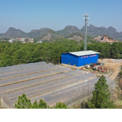 湖南新田：早稻集中育秧全面铺开 科技助力春耕提速