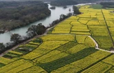 道县：油菜花海“丰”景如画 赏花踏青带热乡村春游