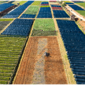 永州冷水滩：苗圃春管忙 乡村振兴添新绿