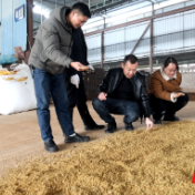 冷水滩：精准包联助春耕 农技服务直通农户