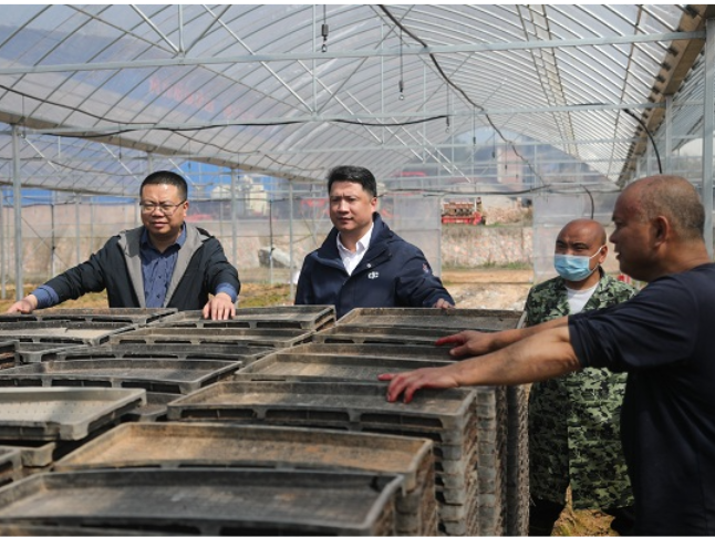 湖南新田：“田专家”委员把履职课堂搬进春耕现场