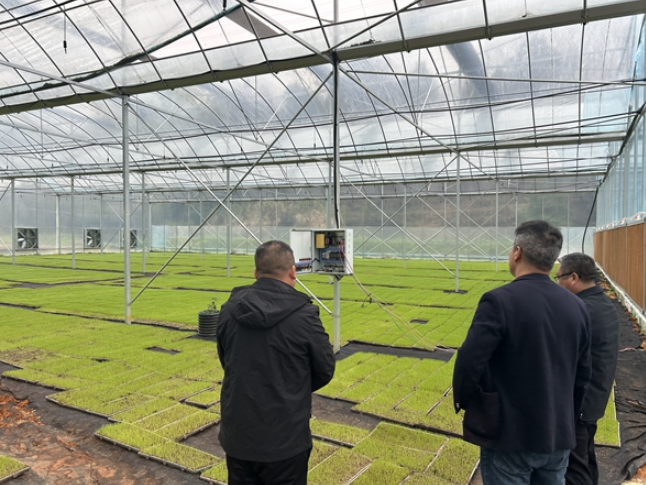 金洞：抢抓农时育壮秧 育秧基地保粮安