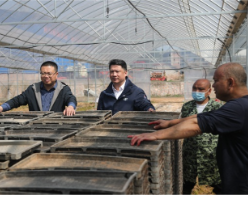 湖南新田：“田专家”委员把履职课堂搬进春耕现场