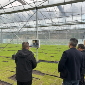 金洞：抢抓农时育壮秧 育秧基地保粮安