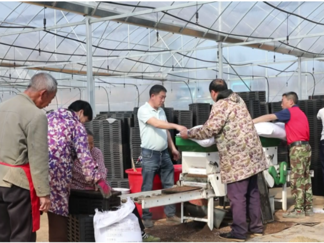 东安：种粮大户抢时节 科技助力育秧忙