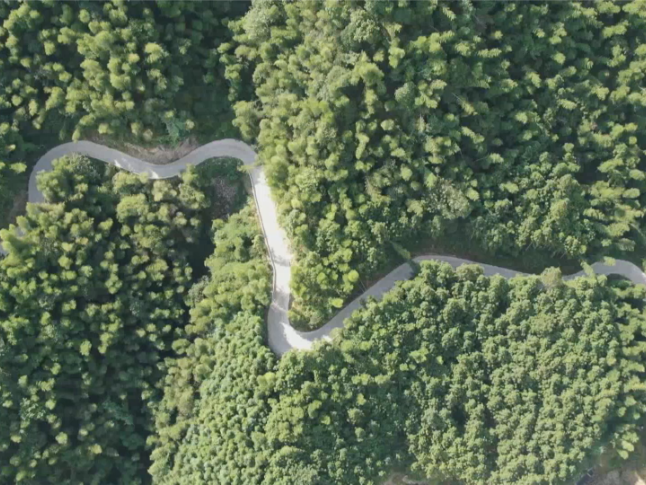 祁阳：山村签下“开年第一单” 土特产借力乡友“驶”出大山