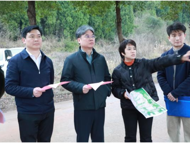 新田：全力抓好春耕生产等当前各项工作