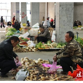 江华:春季时令菜蔬抢“鲜”上市
