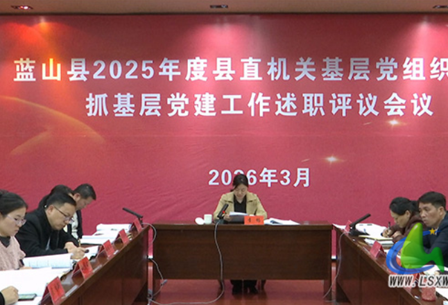 蓝山：2025年度县直机关基层党组织书记抓基层党建工作述职评议会召开