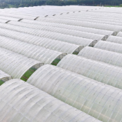 江永县夏层铺镇：阴雨抢农时 春耕保丰收