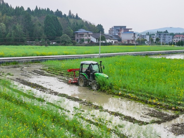 湖南新田：农机助春耕（组图）
