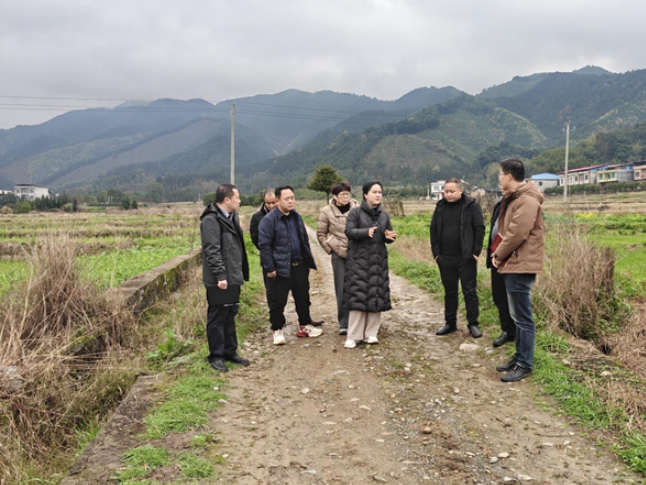 金洞：陈莉调研春耕备耕和“和美湘村”建设工作