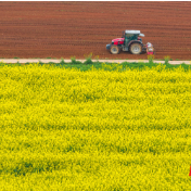 永州冷水滩：农机轰鸣闹春耕 旱地轮作促增收